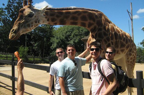 IFSA-Butler: Study Abroad Programs in Australia Thumbnail