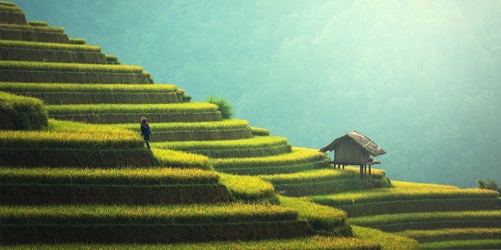 Scholarships for Study Abroad in Asia