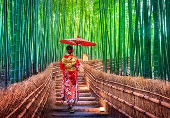 Best Places to Study Abroad in 2019 - Japan Thumbnail