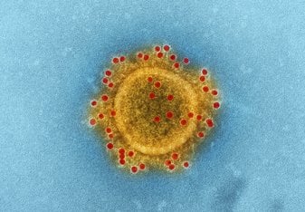 Coronavirus Unsplash