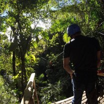 Tico Lingo Spanish School in Costa Rica Tico Lingo Spanish School in Costa Rica