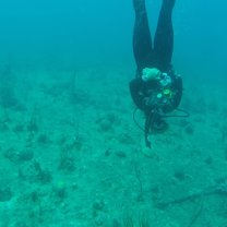 Deep love for the Deep blue ocean 50ft. underwater and upside down!