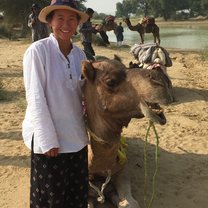 Indian train camel ride