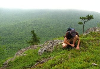 Man in Nature Pixabay Featured?