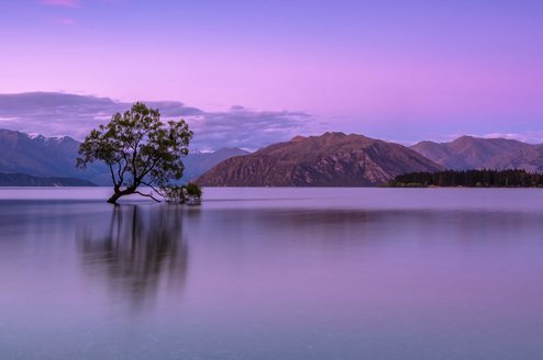 Gap Year in New Zealand New Zealand CLP Header