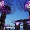 Singapore CLP Header Thumbnail