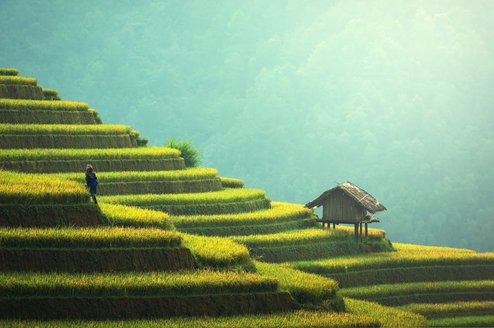 Volunteer in Thailand Thumbnail