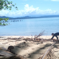 Tico Lingo Spanish School in Costa Rica